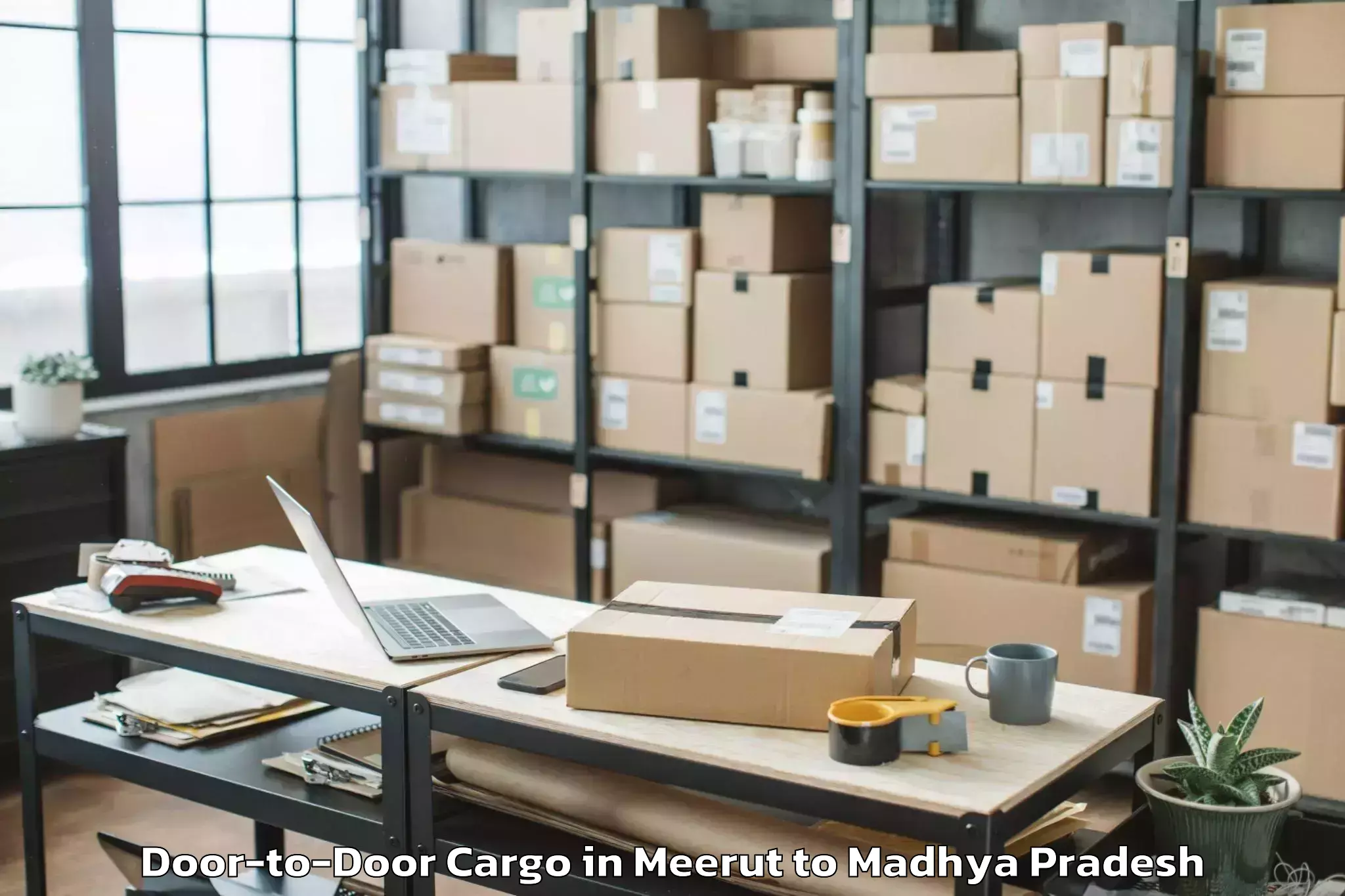 Expert Meerut to Biaora Door To Door Cargo